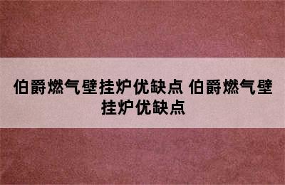 伯爵燃气壁挂炉优缺点 伯爵燃气壁挂炉优缺点